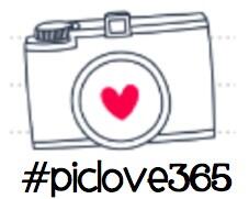 #piclove365